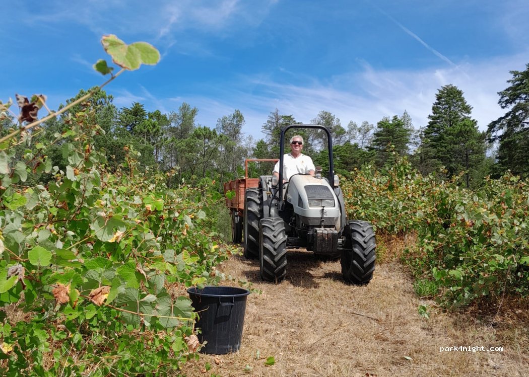 Quinta Chão de Lamas thumbnail 3