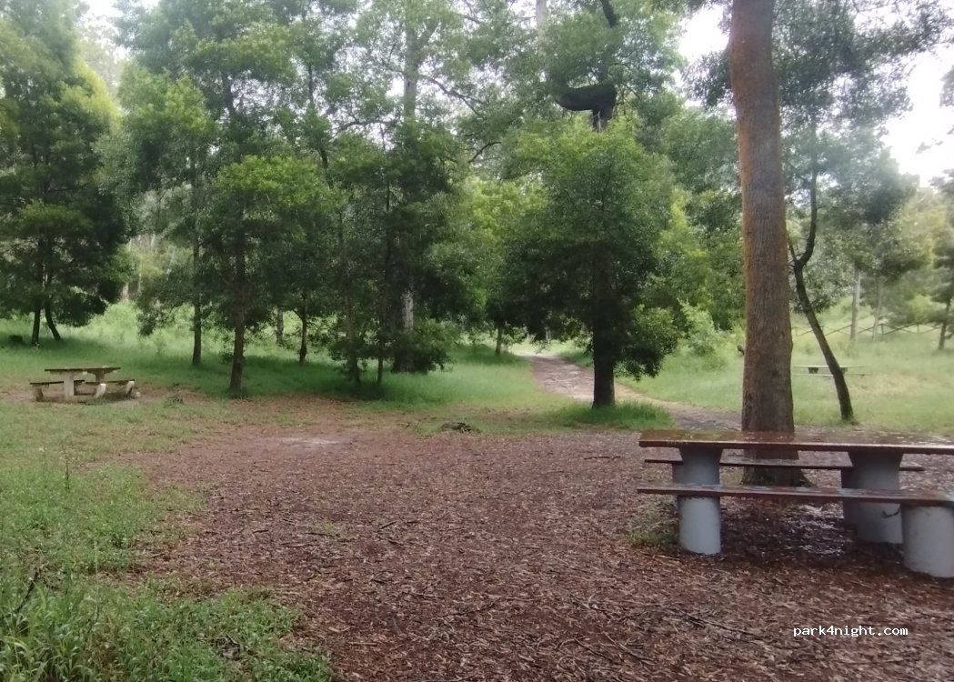 Marinha Grande,Unnamed Road thumbnail 4