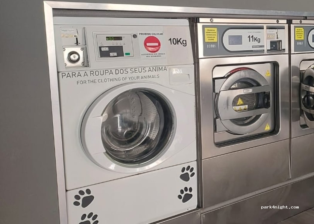 Ponte de Sor, 11 Rua Cardeal Dom António Ribeiro thumbnail 2