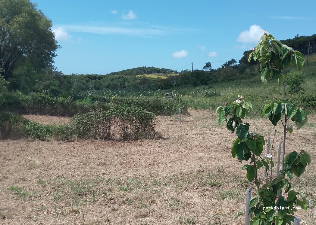 Casa Monte da Coruja,