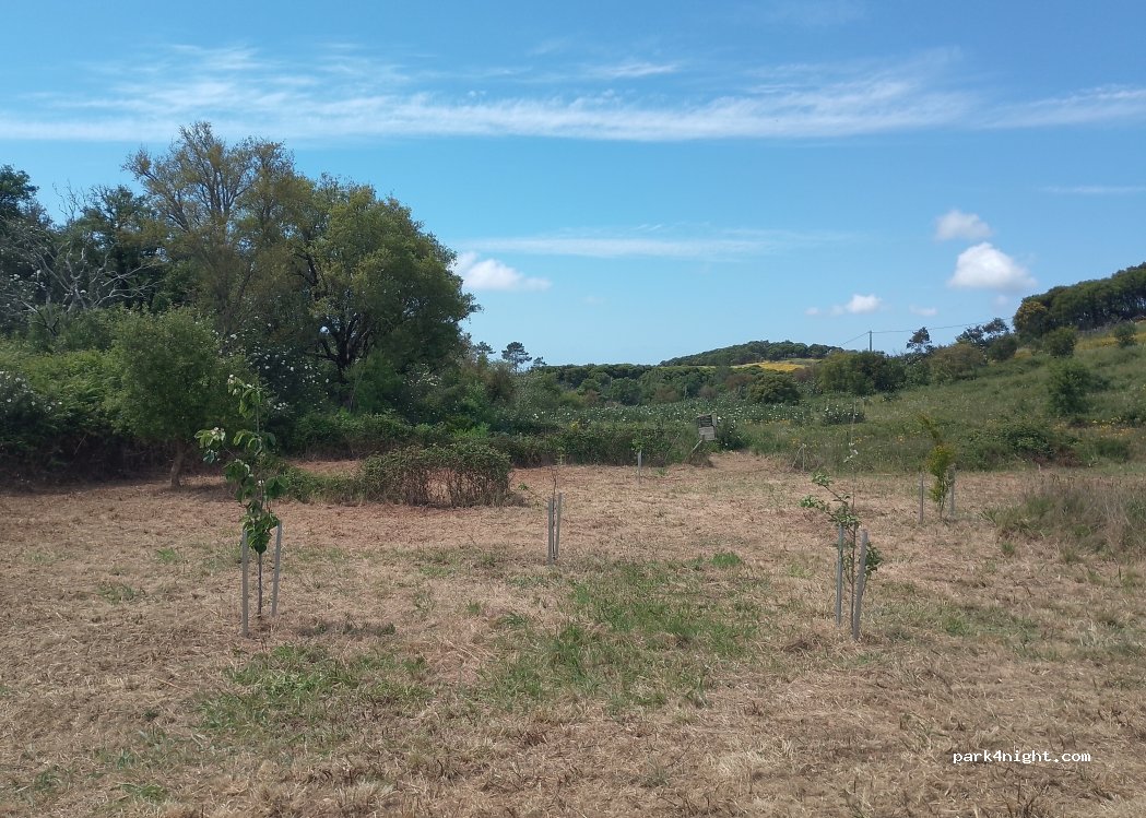 Casa Monte da Coruja, thumbnail 3