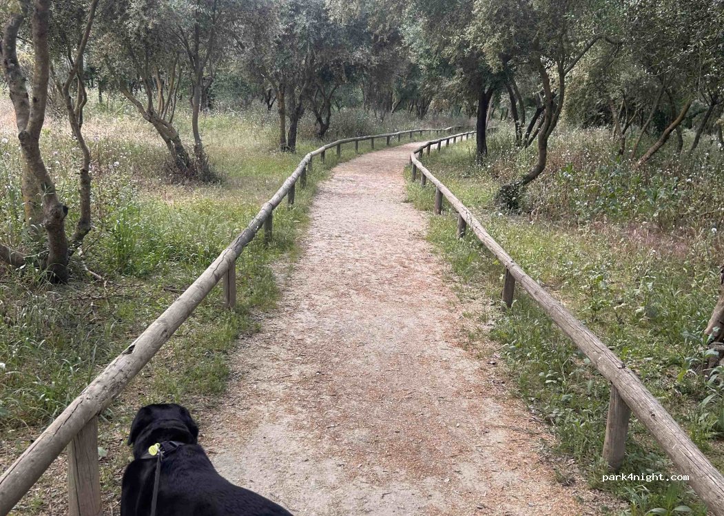 Sanlúcar la Mayor,Cam. Real Viejo thumbnail 2