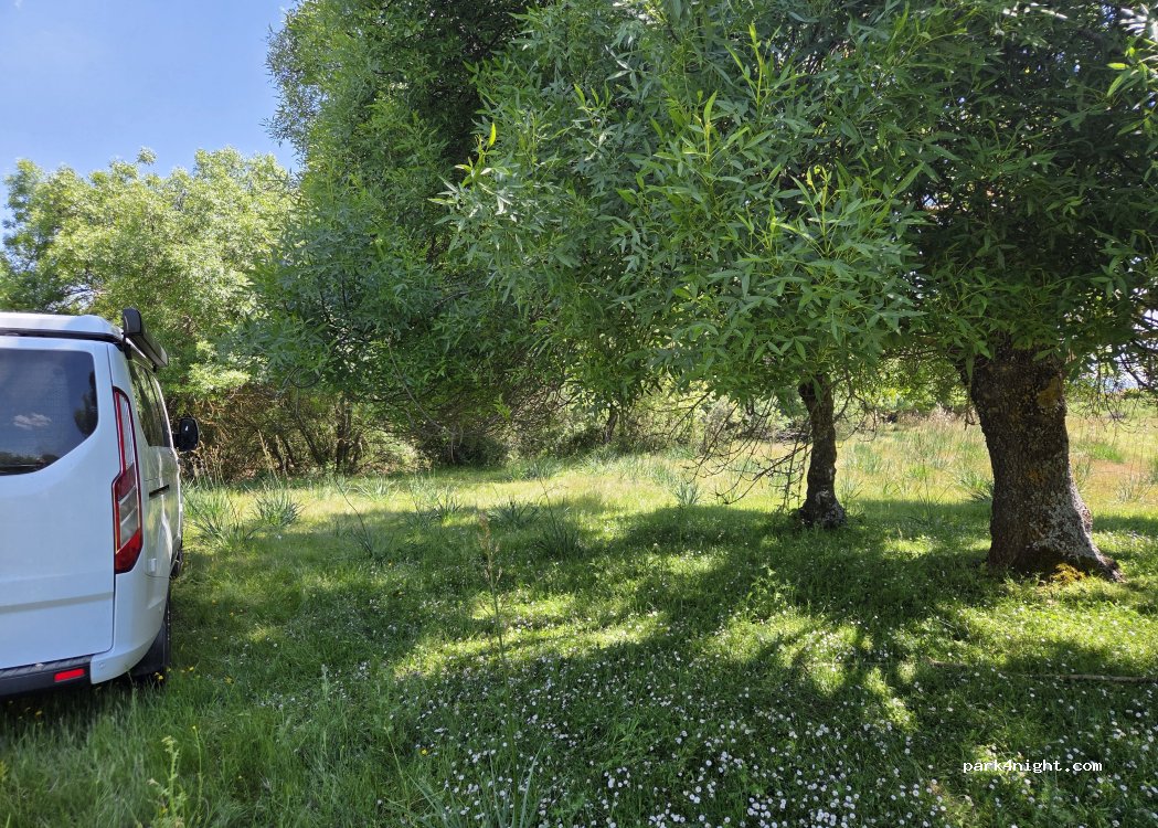 Dios le Guarde, thumbnail 4