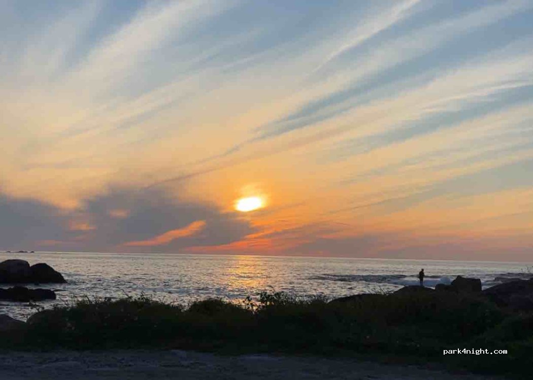 Ponte, 8 C-550 thumbnail 3