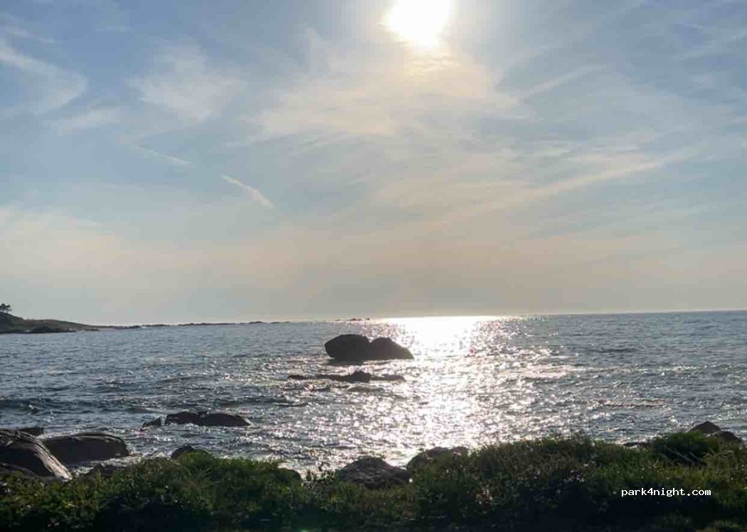 Ponte, 8 C-550 thumbnail 4