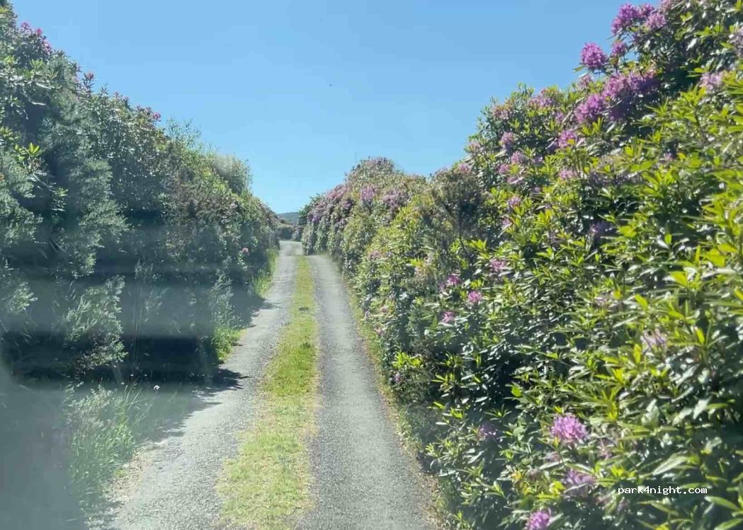 () - Unnamed Road - Photo 3