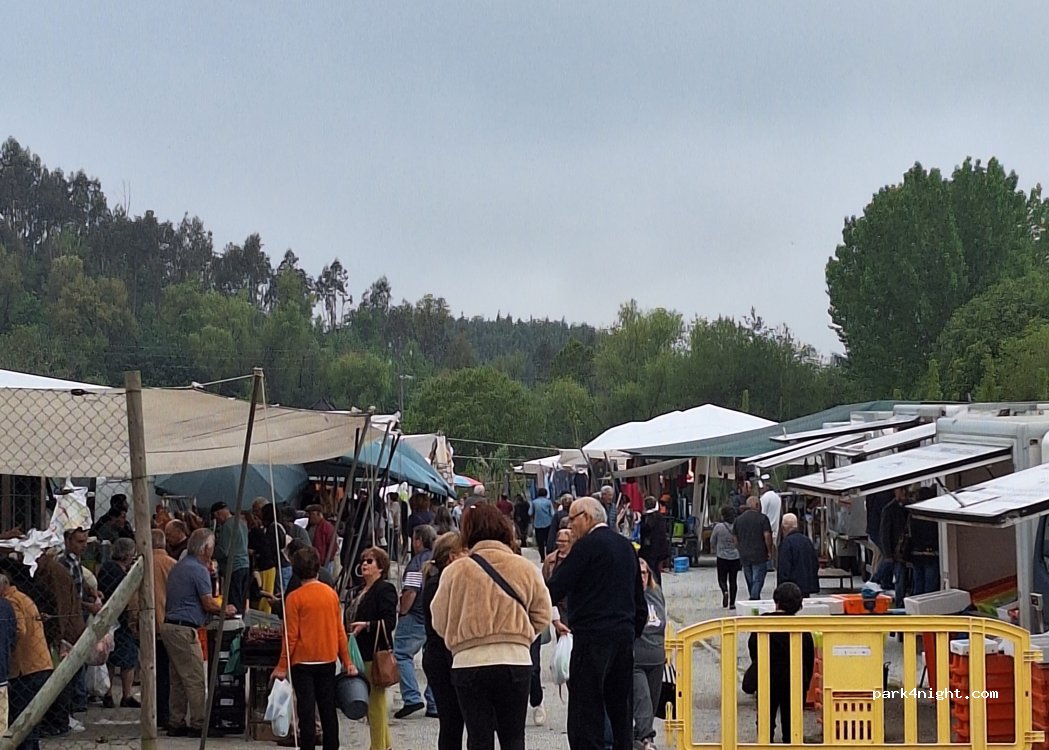 Santa Comba Dão,R. Hortas thumbnail 3