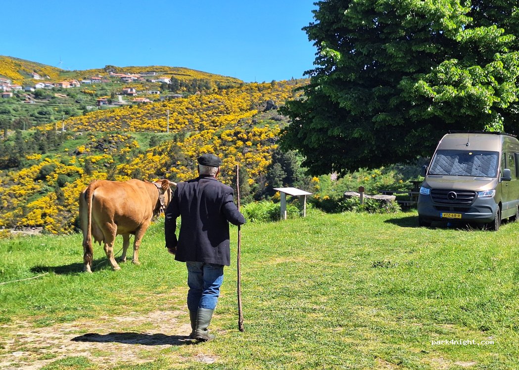 Castro Daire, 24 Rua da Portela thumbnail 5