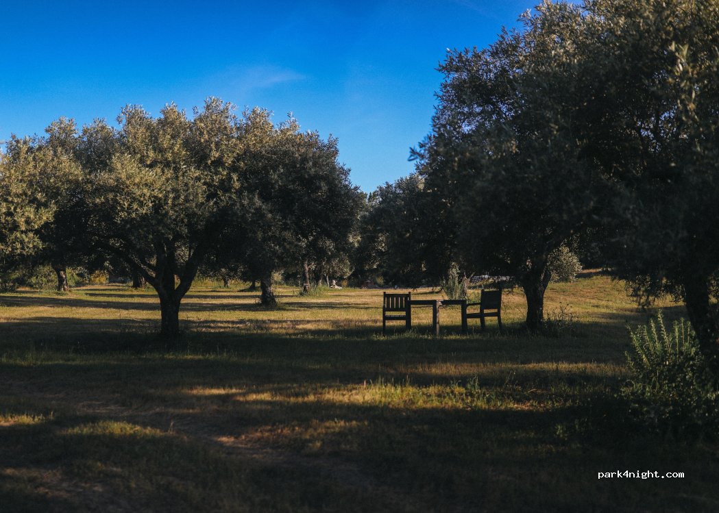 Quinta da várzea thumbnail 4