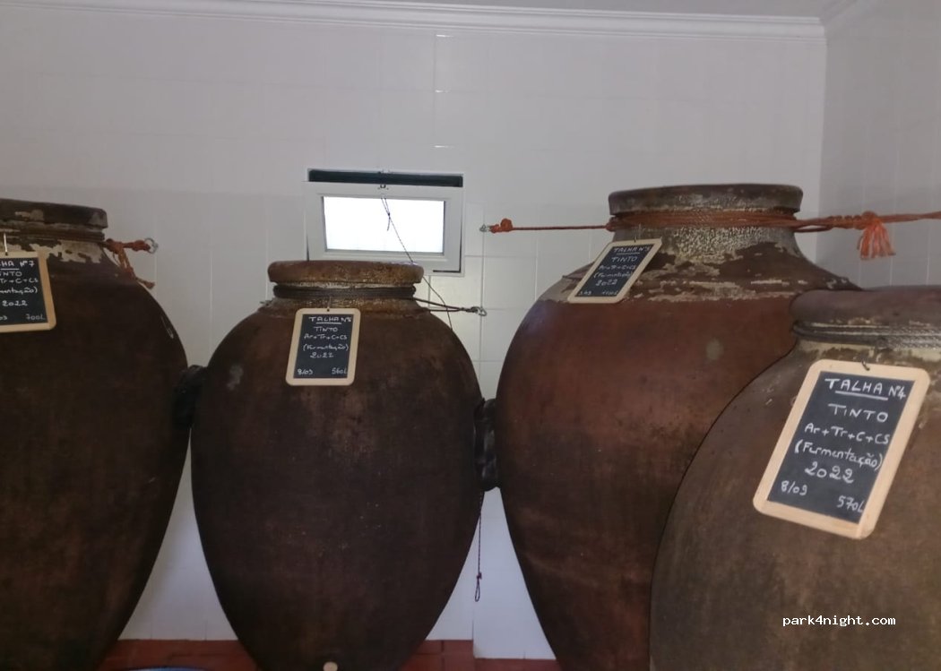 ENCOSTA DO PINHAL thumbnail 2