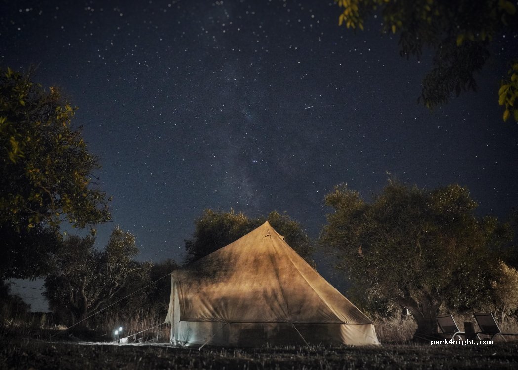 Quinta Shiva thumbnail 2