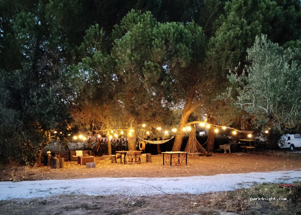 Quinta Shiva thumbnail 3