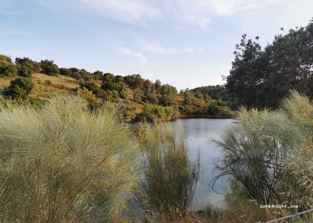 Torrão, thumbnail 4