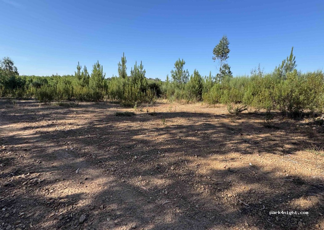 Vila Velha de Ródão,Unnamed Road thumbnail 2