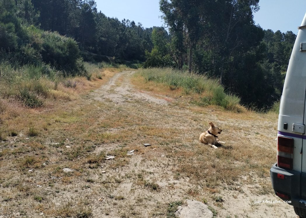 Castro Daire, thumbnail 4