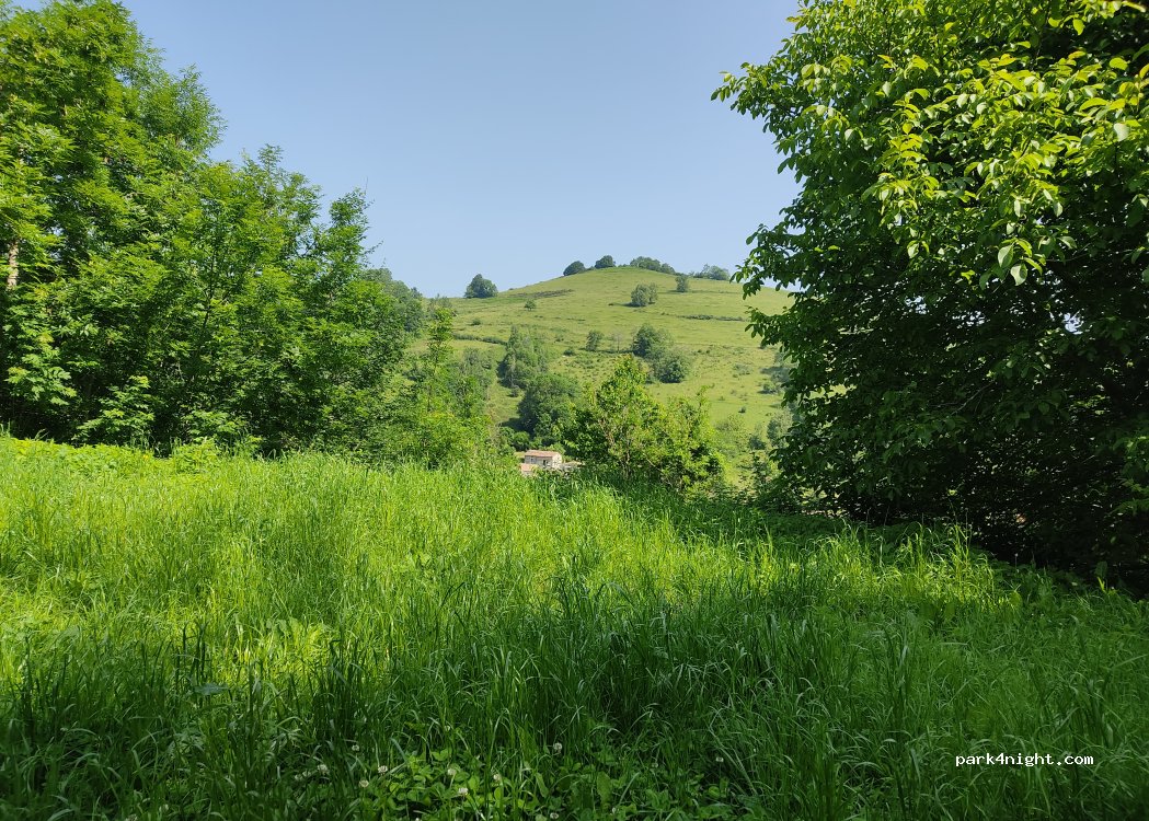 Freychenet - D209 photo 5