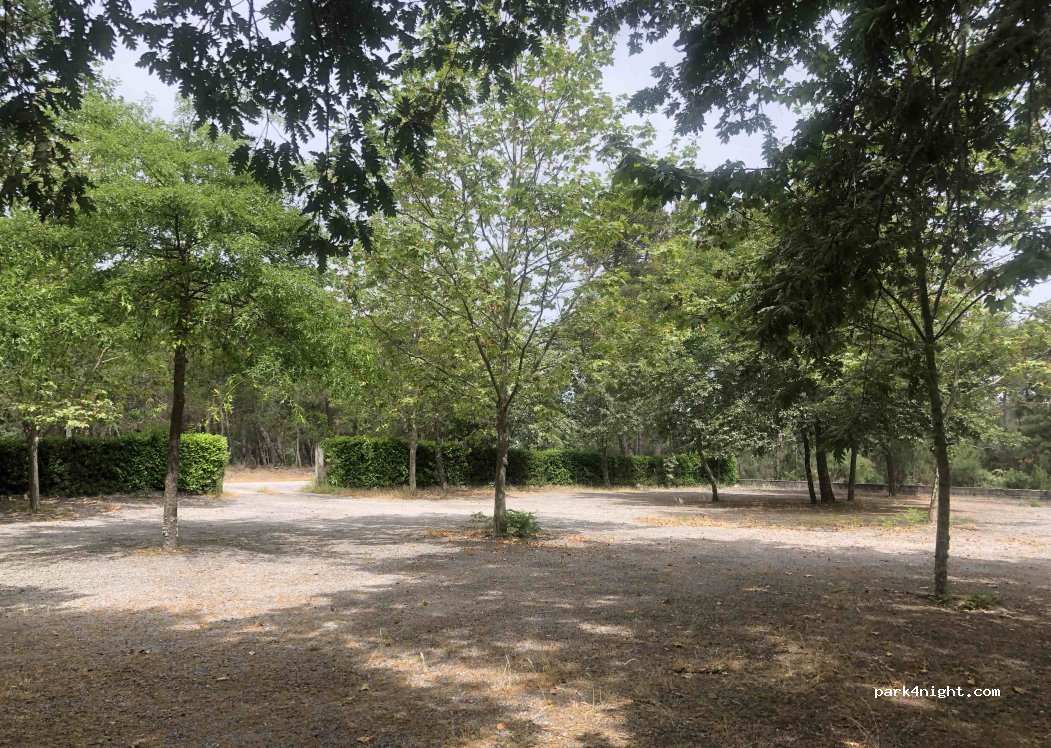 Lamares, 706 M566 thumbnail 2