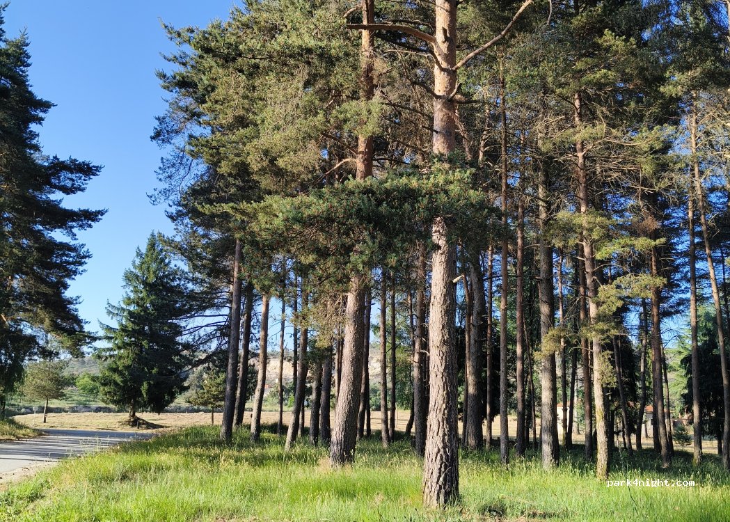 Tarouca, thumbnail 3