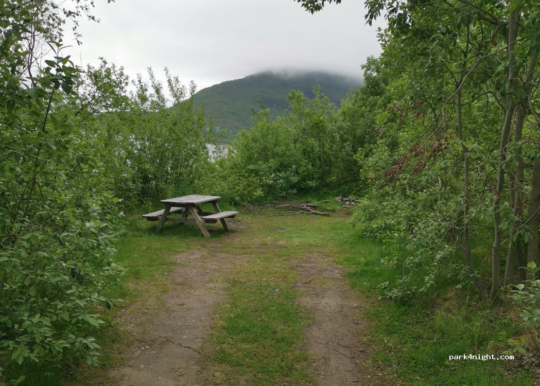 Oteren - Primær Fylkesveg 868 photo 3