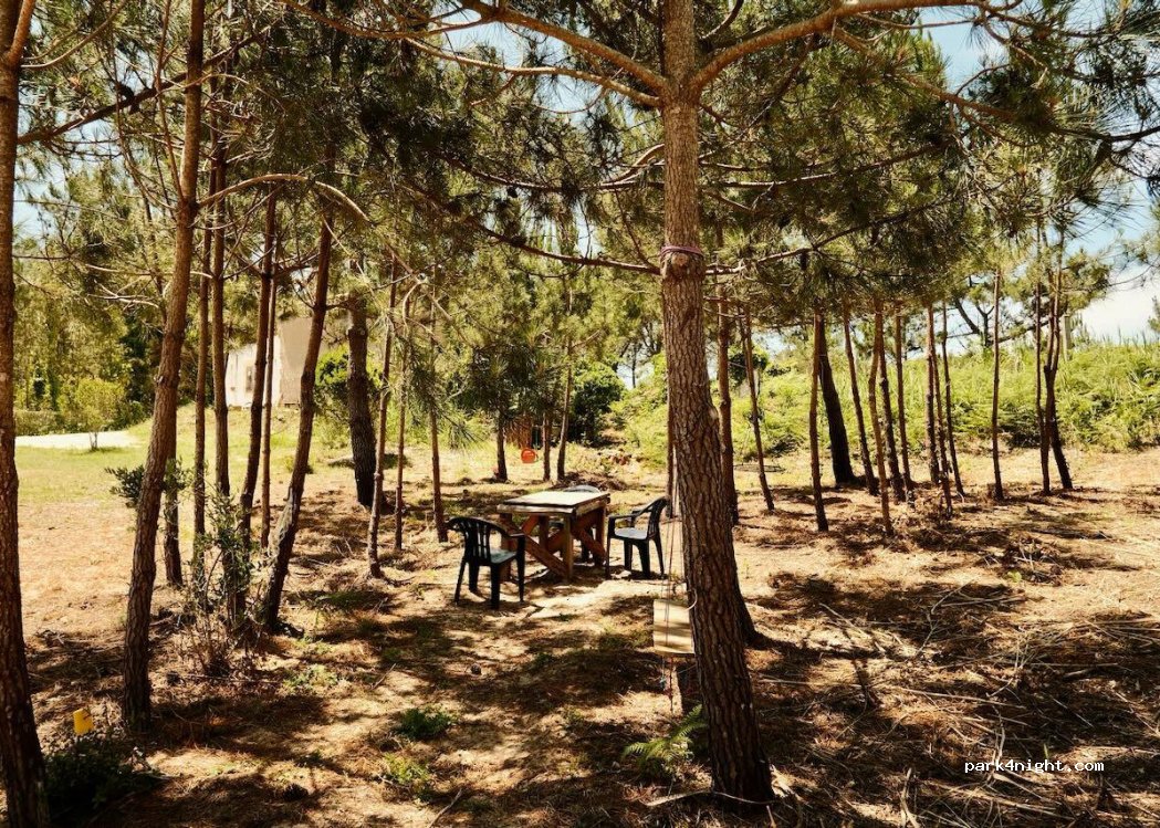 Salir do Porto, thumbnail 2