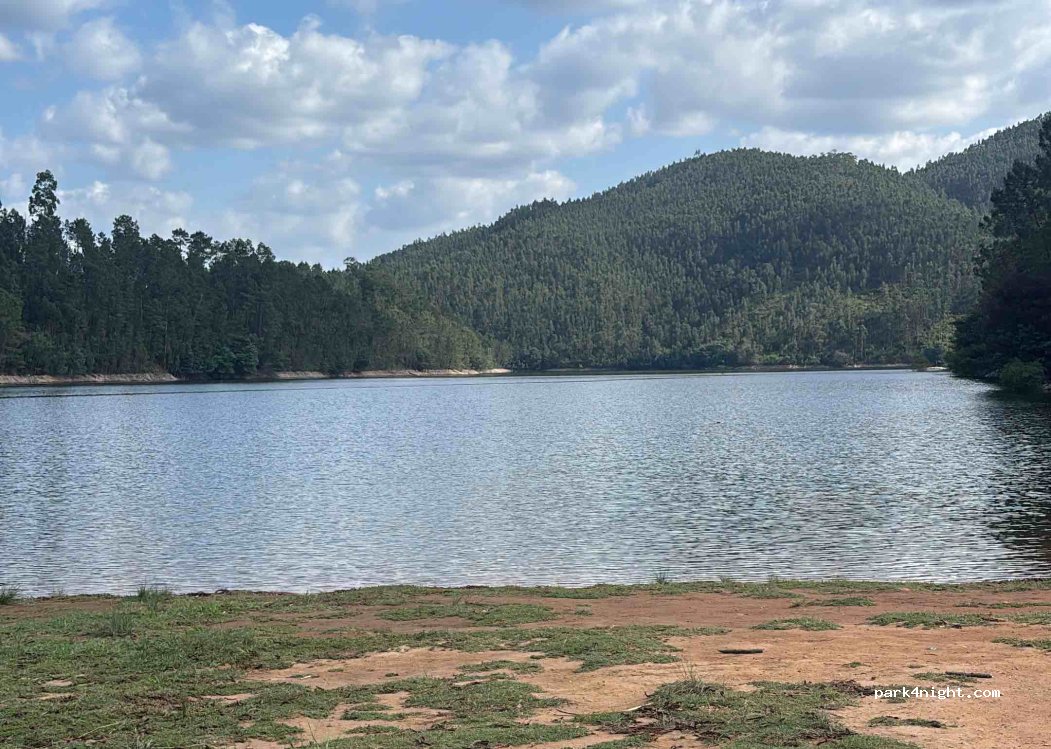 Figueiró Dos Vinhos, thumbnail 4