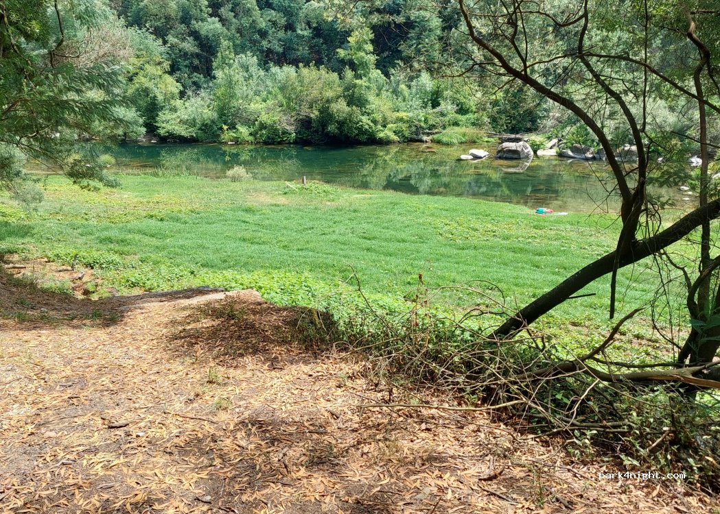 Friande, thumbnail 2