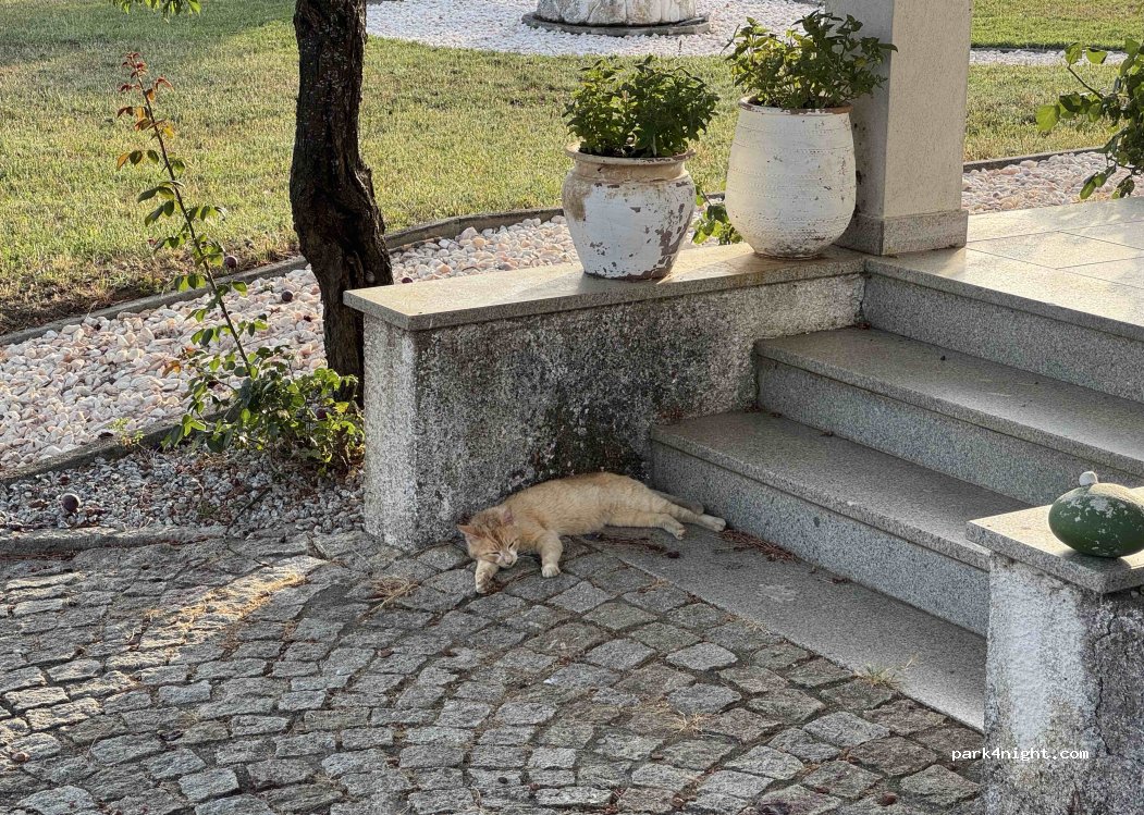 Vila Nova de Tazem, thumbnail 5