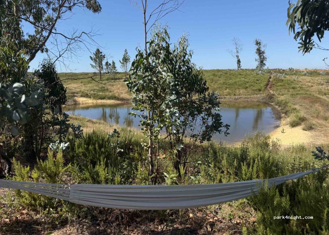 Quinta NM thumbnail 2