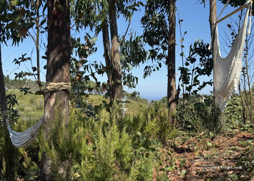 Quinta NM thumbnail 4