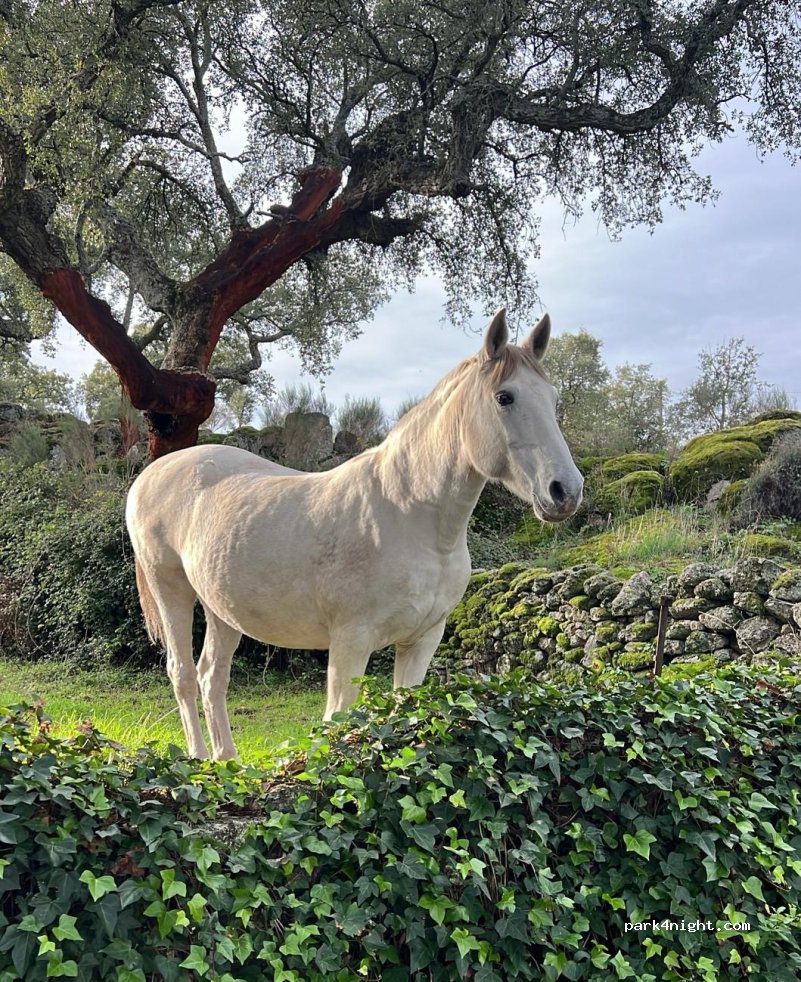 Een verborgen paradijsje thumbnail 6