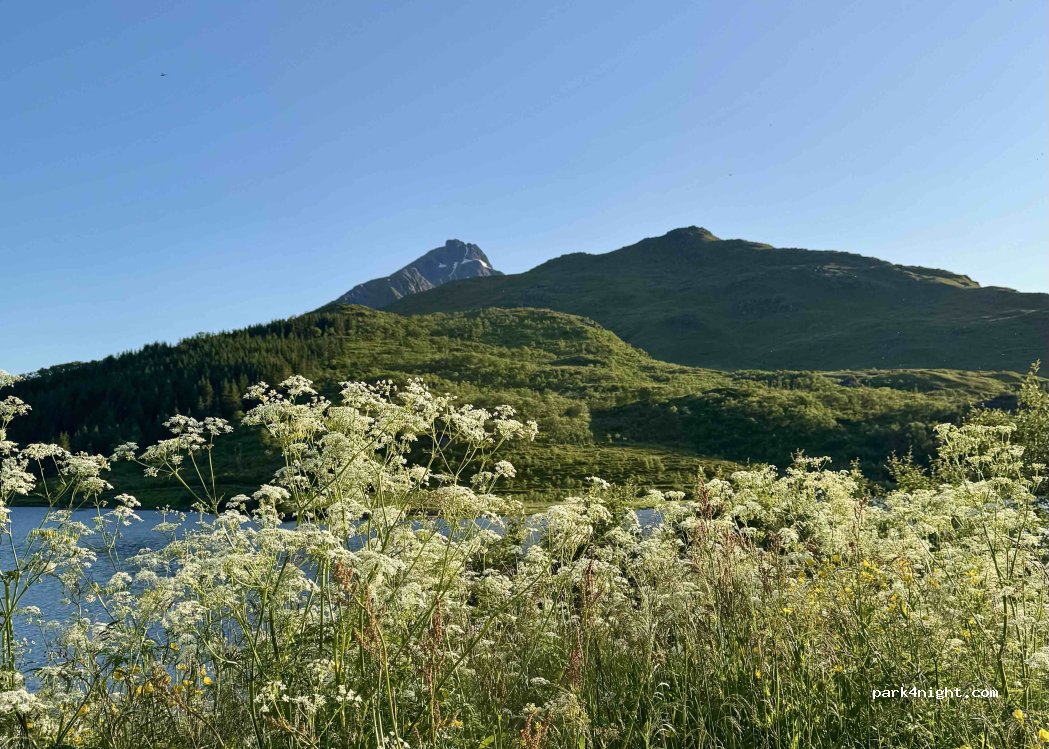 124 Steinfjordveien photo 3