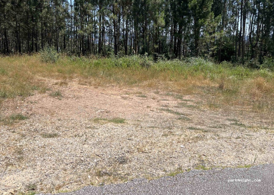 Canedo, 201 Rua Santo António thumbnail 2