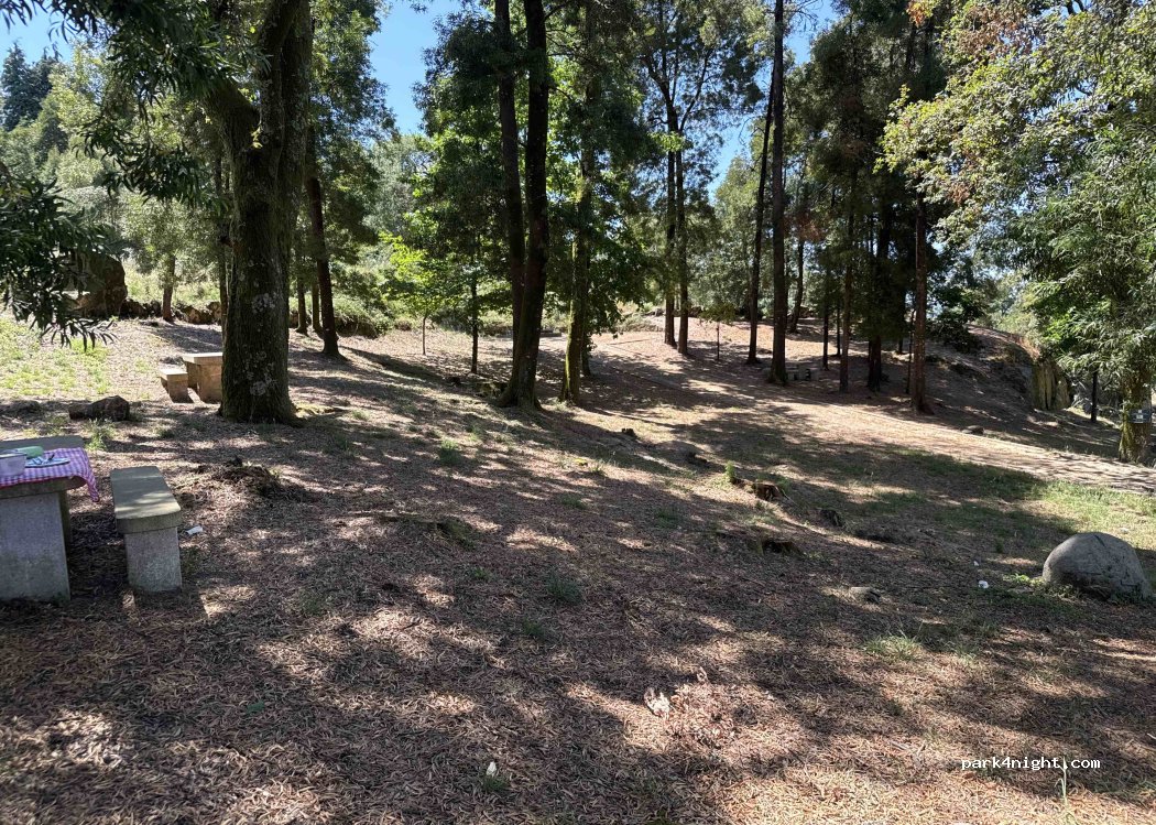 Burgães, 681 CM1105 thumbnail 2