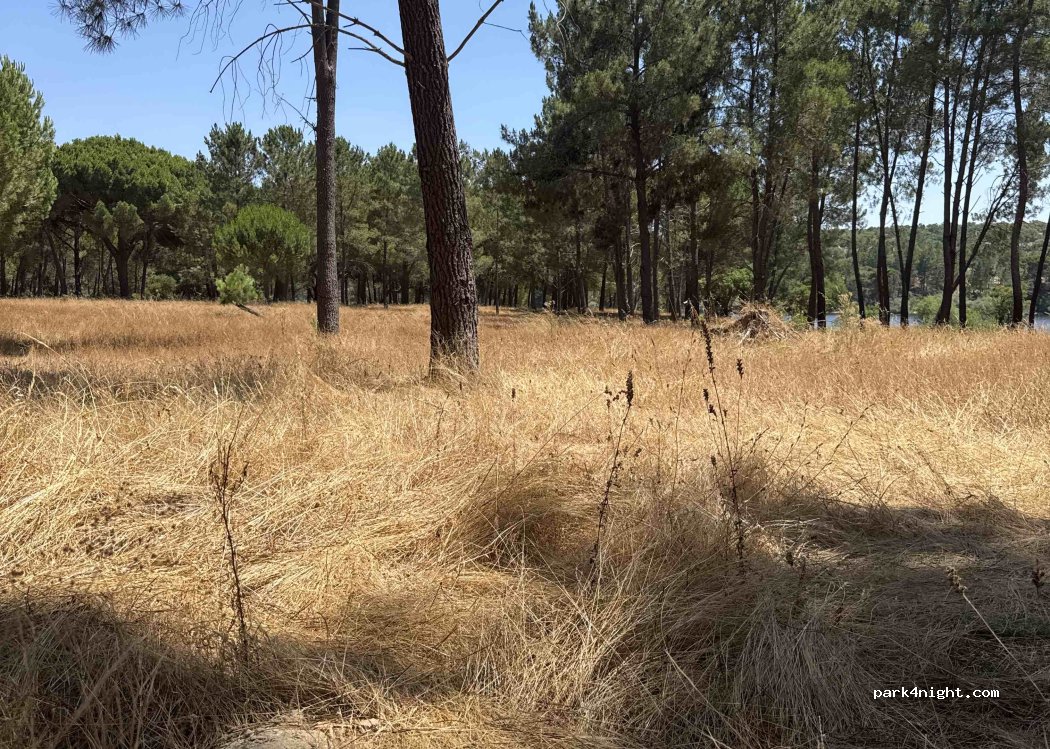 Montargil, thumbnail 2