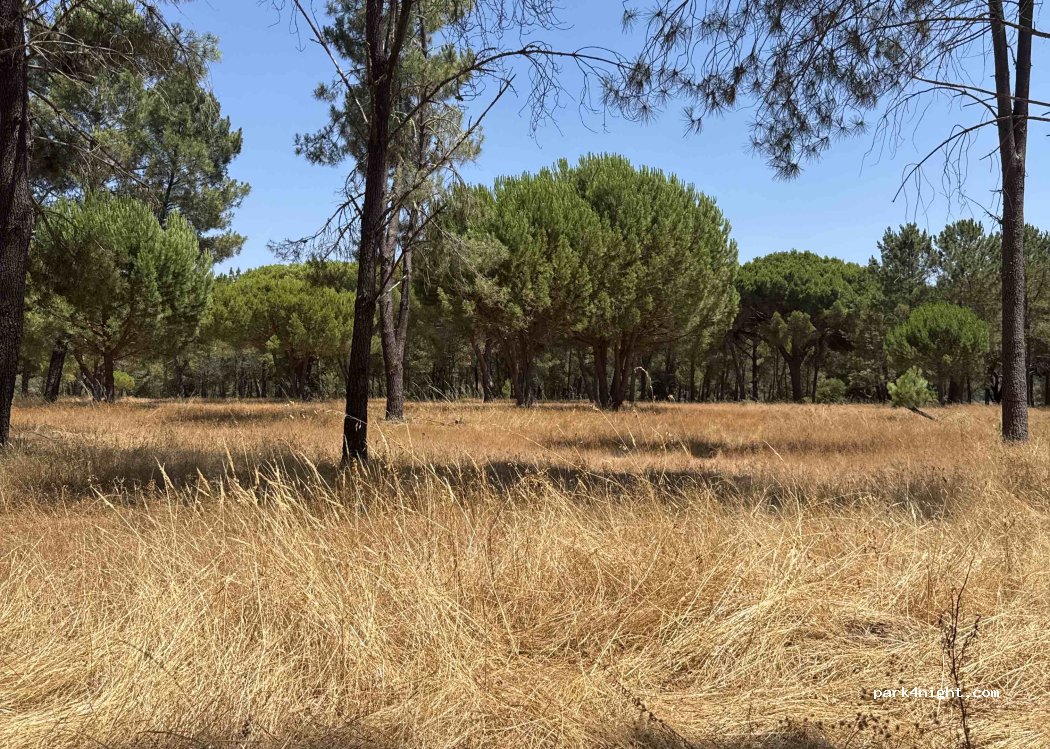 Montargil, thumbnail 3