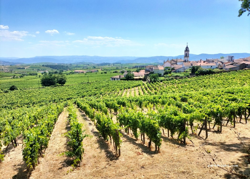 Favaios, 5 Avenida dos Plátanos thumbnail 2