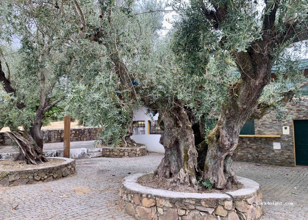 Vila Velha de Ródão, thumbnail 2