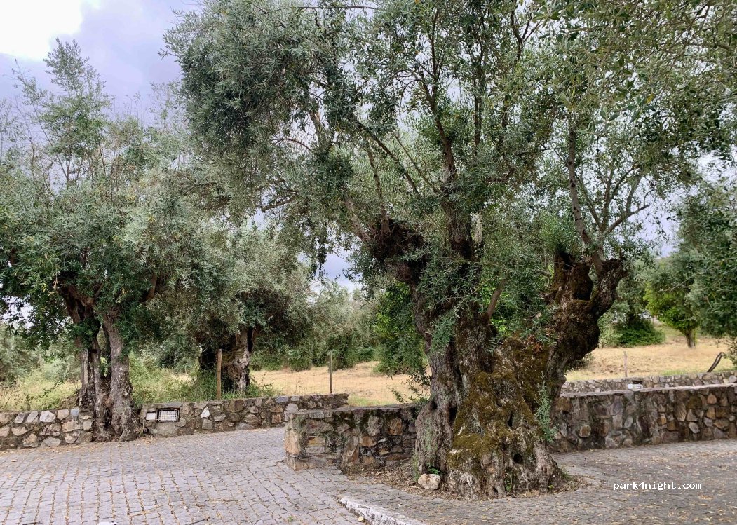 Vila Velha de Ródão, thumbnail 4