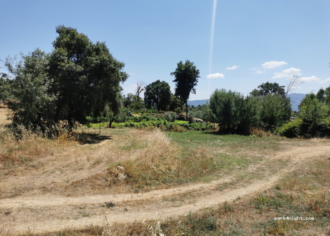 Peroviseu, thumbnail 4