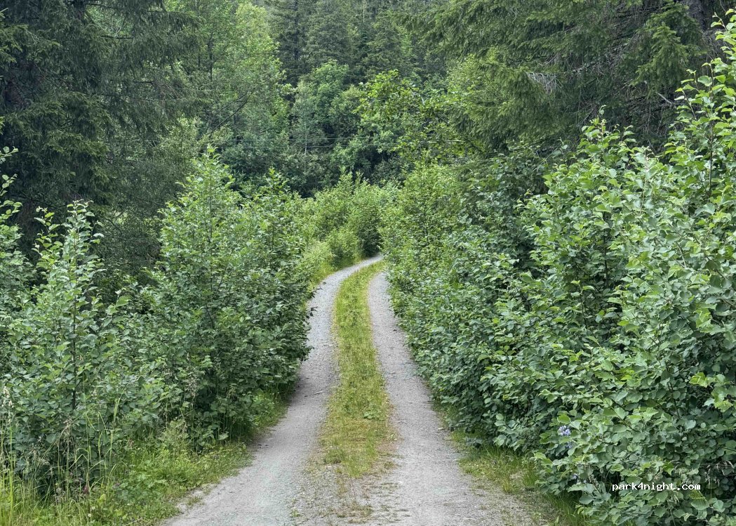 Primær Fylkesveg 715 photo 2
