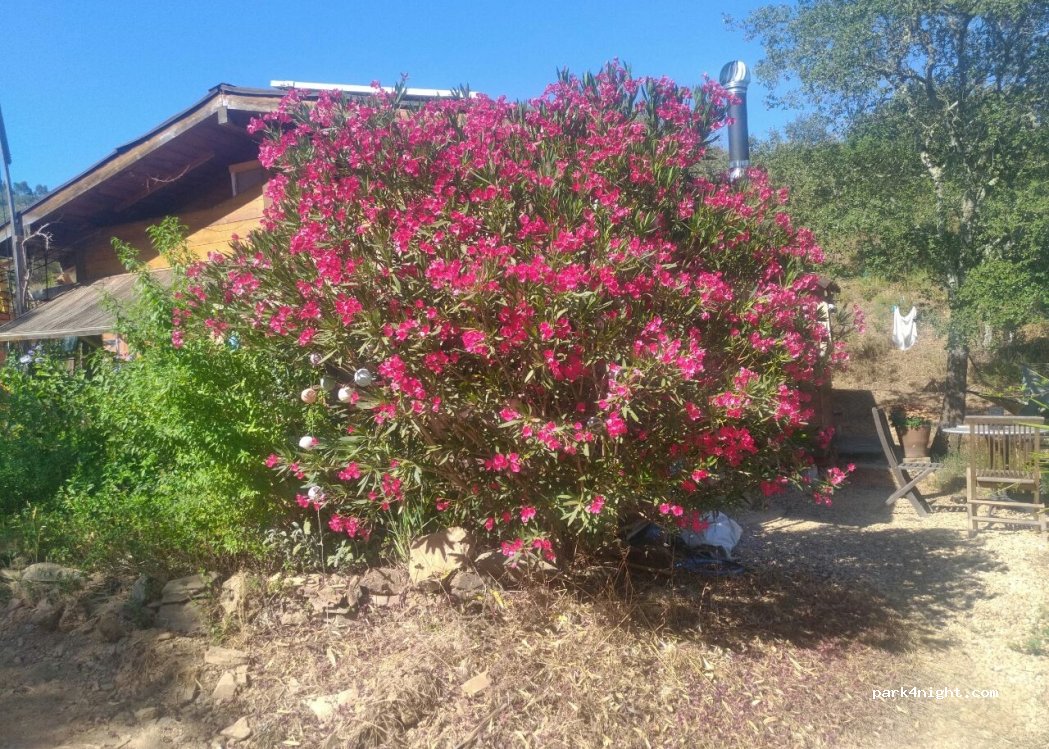 Monte das Laranjeiras thumbnail 3