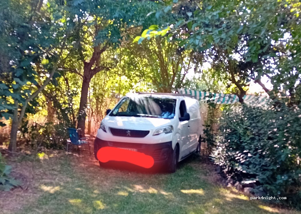 A&B family garden thumbnail 4