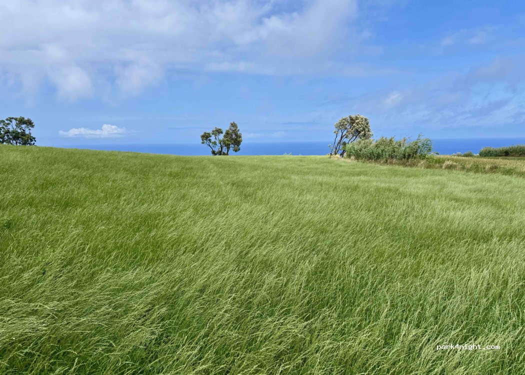 Lomba da Fazenda, thumbnail 4