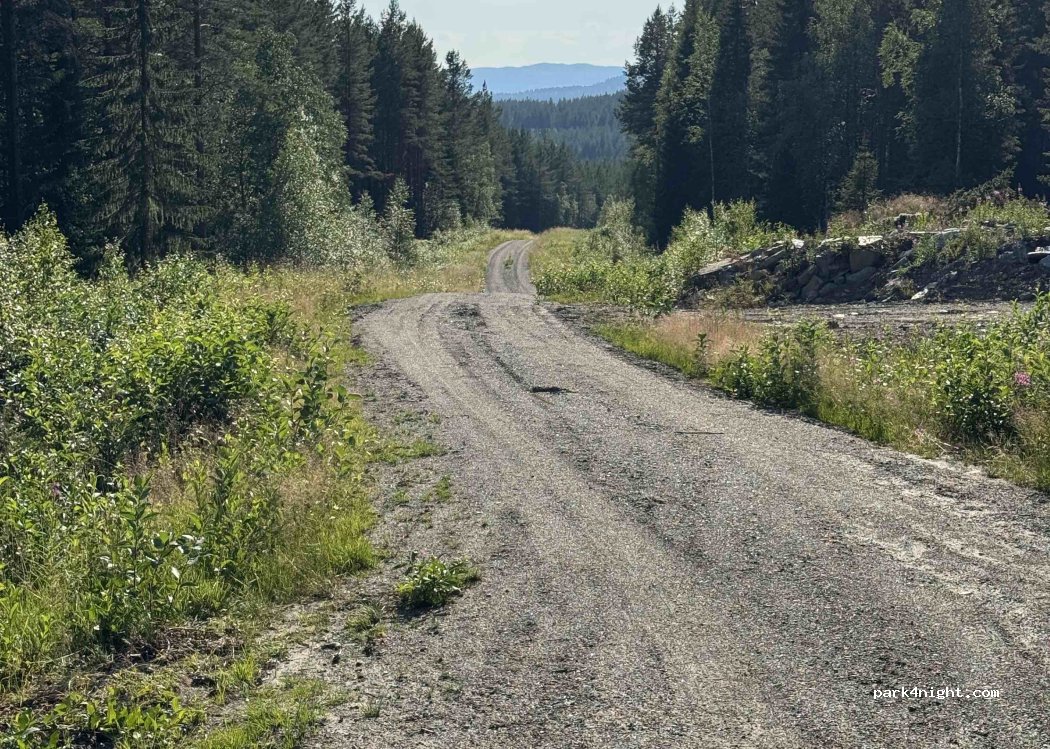 (833 98) Gäddede - Unnamed Road photo 3