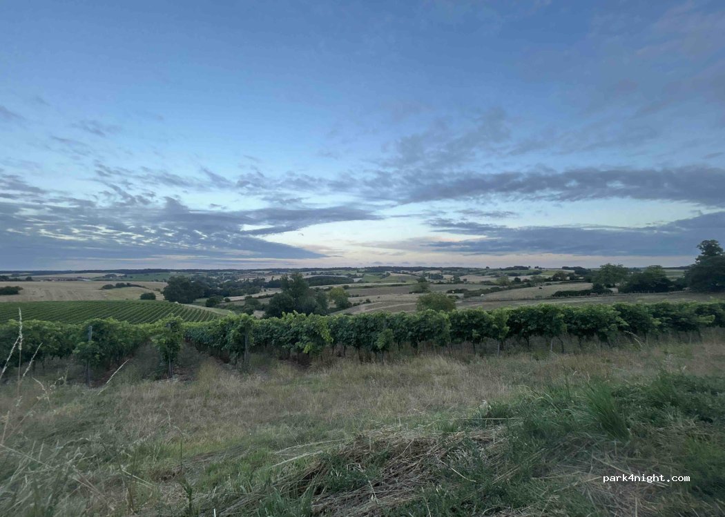 Domaine des Grandes Jouberteries - Photo 2