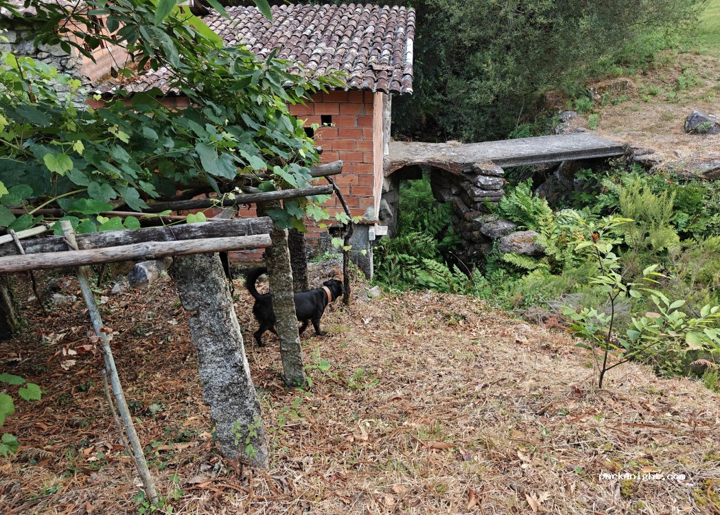 Tui, 159 PO-3001 thumbnail 4