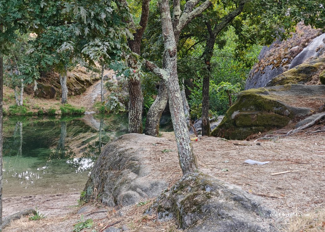 Tui, 159 PO-3001 thumbnail 5