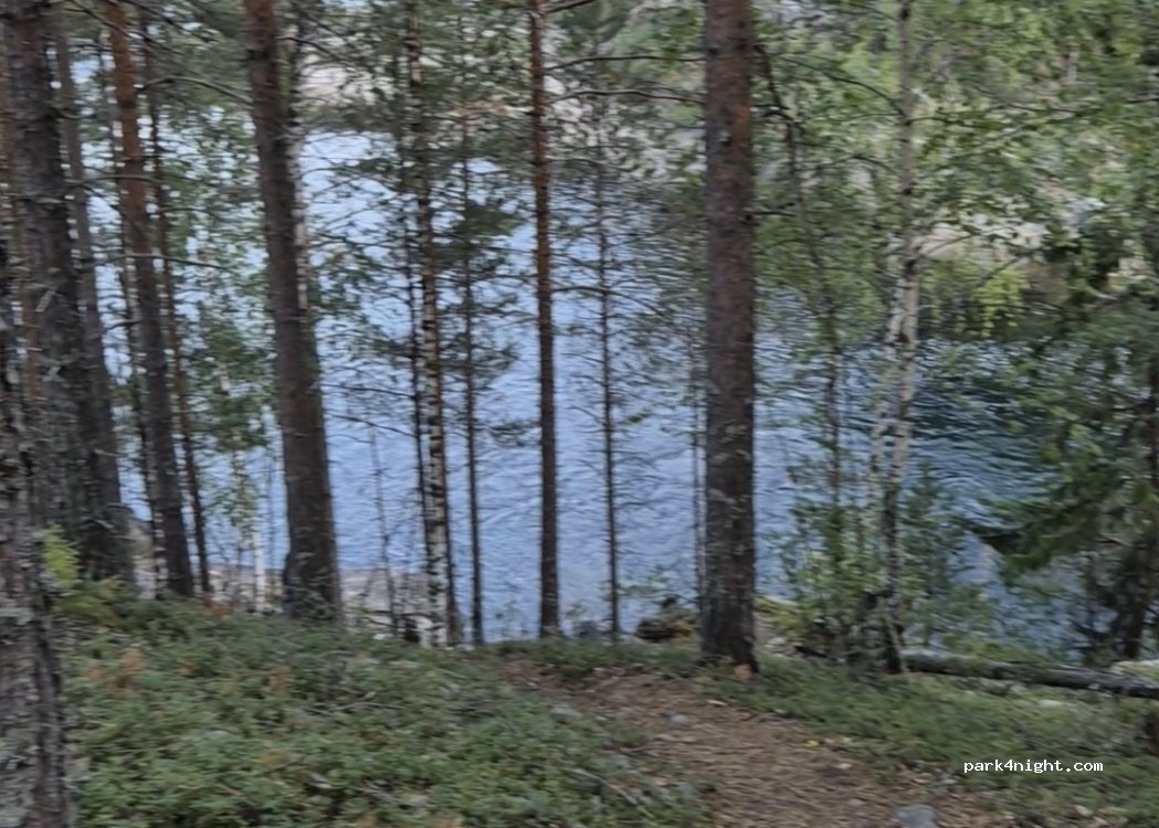 Nesbyen photo 3