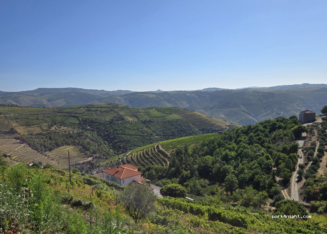 Provesende,N323 thumbnail 3