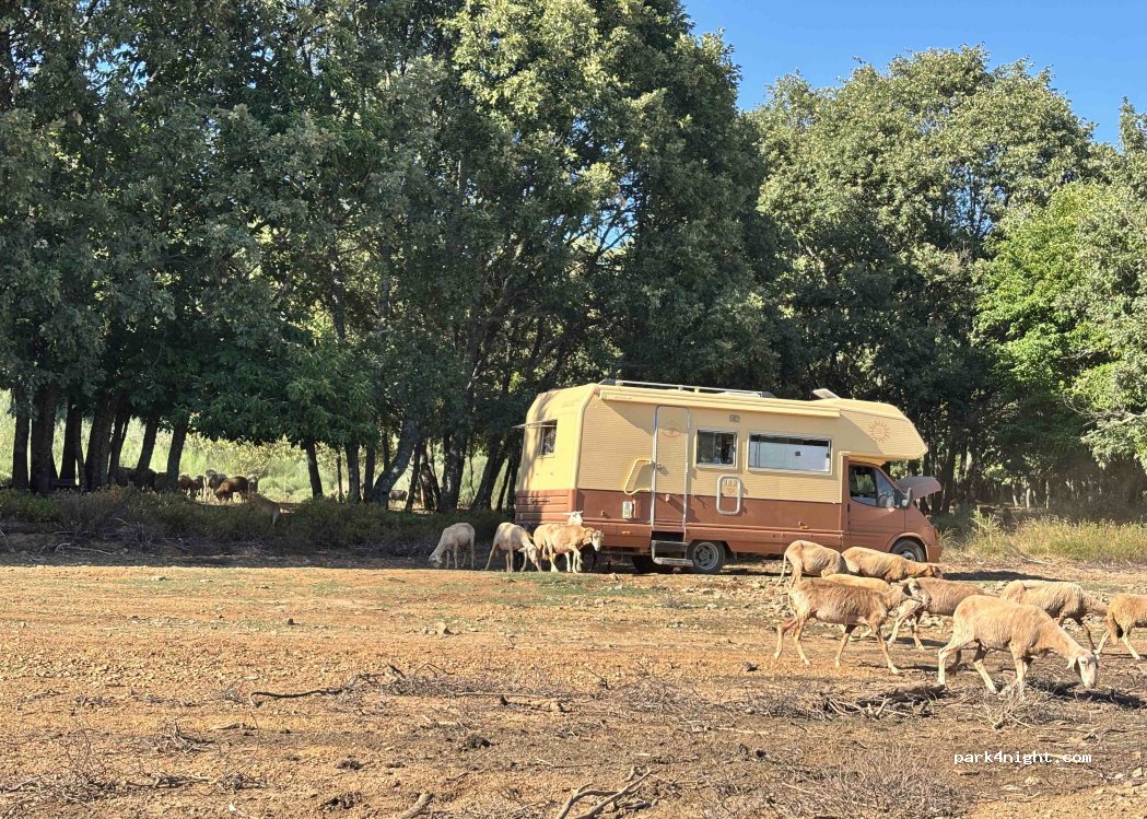 Aldeia de Santo António e Sabugal, Guarda - photo 1